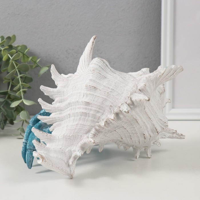 Сувенир полистоун Сувенир полистоун "Коралловый риф. Краб в ракушке" 23,5х23,5х17,8 см