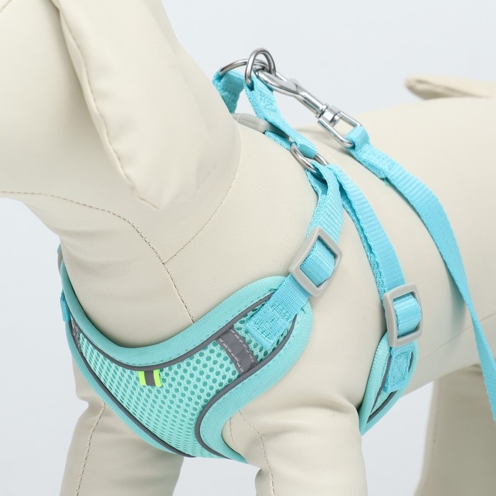 Комплект с мягкой шлейкой, быстросъемный, L, поводок 140 см, ОШ 49-56 см, ОГ 56-68 см, бирюзовый Комплект с мягкой шлейкой, быстросъемный, L, поводок 140 см, ОШ 49-56 см, ОГ 56-68 см, бирюзовый