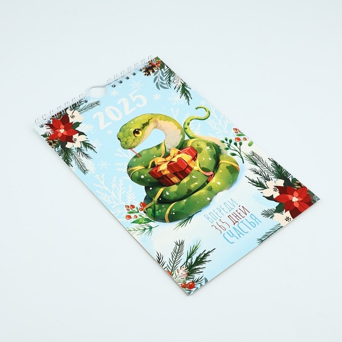 Календарь 2025 настенный, перекидной «Новый год: 365 дней счастья», 15 х 23 см Календарь 2025 настенный, перекидной «Новый год: 365 дней счастья», 15 х 23 см