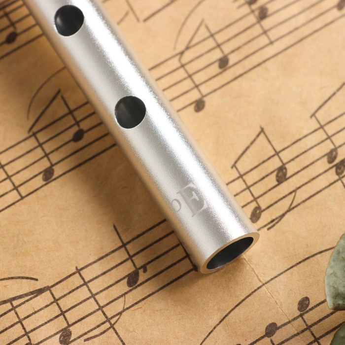 Флейта Music Life Е, серебристая, 27,5 см Флейта Music Life Е, серебристая, 27,5 см