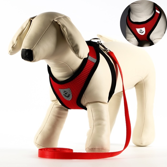 Комплект амуниции с мягкой шлейкой и светоотражающей нашивкой, XL, ОШ 40 см, ОГ 46-60 см, красный 76 Комплект амуниции с мягкой шлейкой и светоотражающей нашивкой, XL, ОШ 40 см, ОГ 46-60 см, красный 76