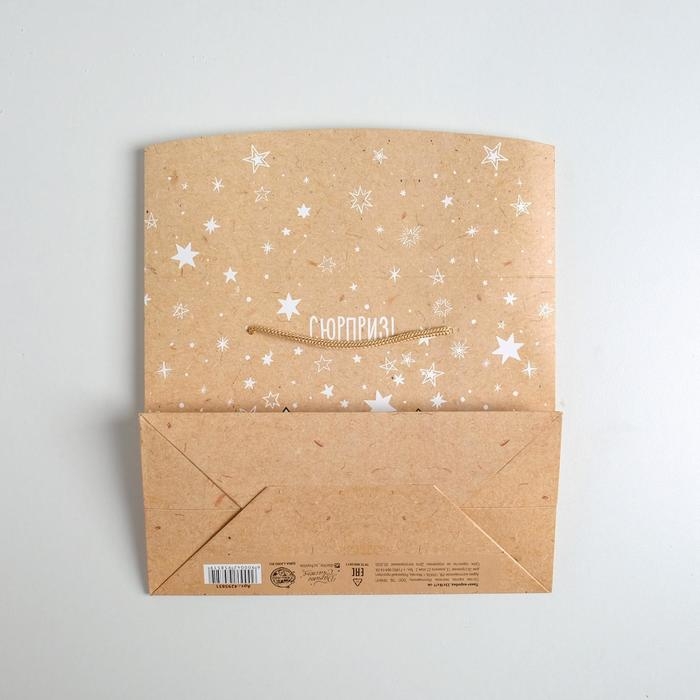 Пакет—коробка «Сюрприз!», 23 х18 х11 см Пакет—коробка «Сюрприз!», 23 х18 х11 см