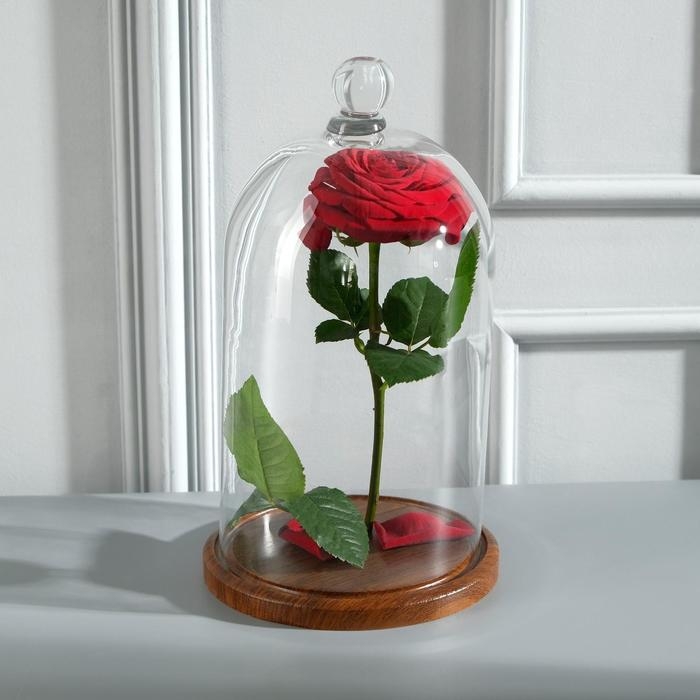 Стеклянный купол-клош с шариком на подставке Стеклянный купол-клош с шариком на подставке "Родрик", 29х15 см, стекло, коричневый