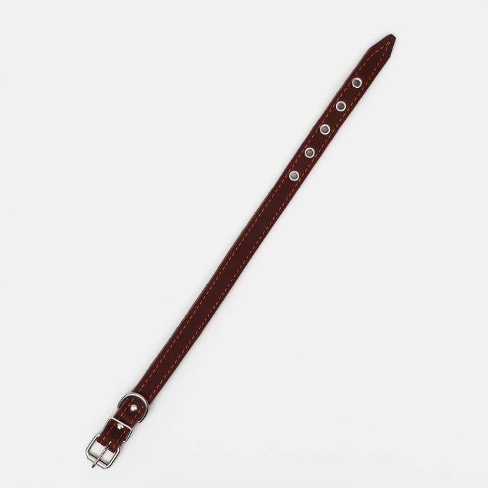 Ошейник кожаный на синтепоне, 45 х 2 см, ОШ 25-35 см, коричневый Ошейник кожаный на синтепоне, 45 х 2 см, ОШ 25-35 см, коричневый