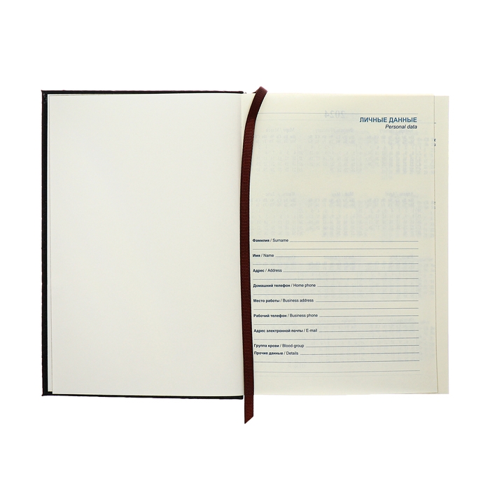 Ежедневник полудатированный, А5, 192 листа, линейка, обложка кожзам, золотой срез  Ежедневник полудатированный, А5, 192 листа, линейка, обложка кожзам, золотой срез "Крокодил", черный