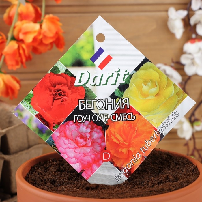 Семена цветов Бегония  Семена цветов Бегония "Гоу-гоу", 6 шт.