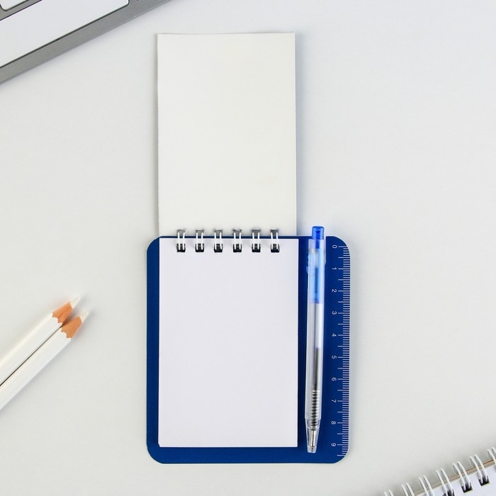 Подарочный набор блокнот и мини-ручка  Подарочный набор блокнот и мини-ручка "Енотик"