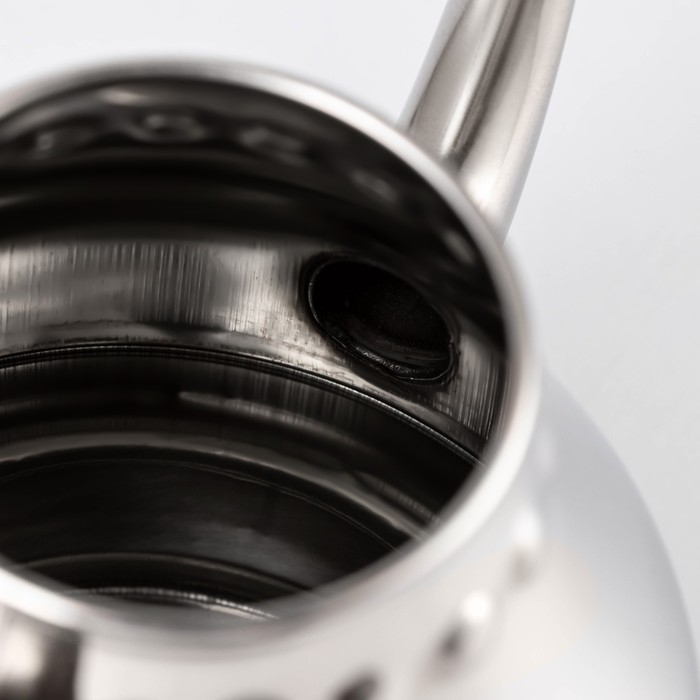 Чайник заварочный из нержавеющей стали «Леранс», 1,1 л, металлическое сито, цвет хромированный Чайник заварочный из нержавеющей стали «Леранс», 1,1 л, металлическое сито, цвет хромированный