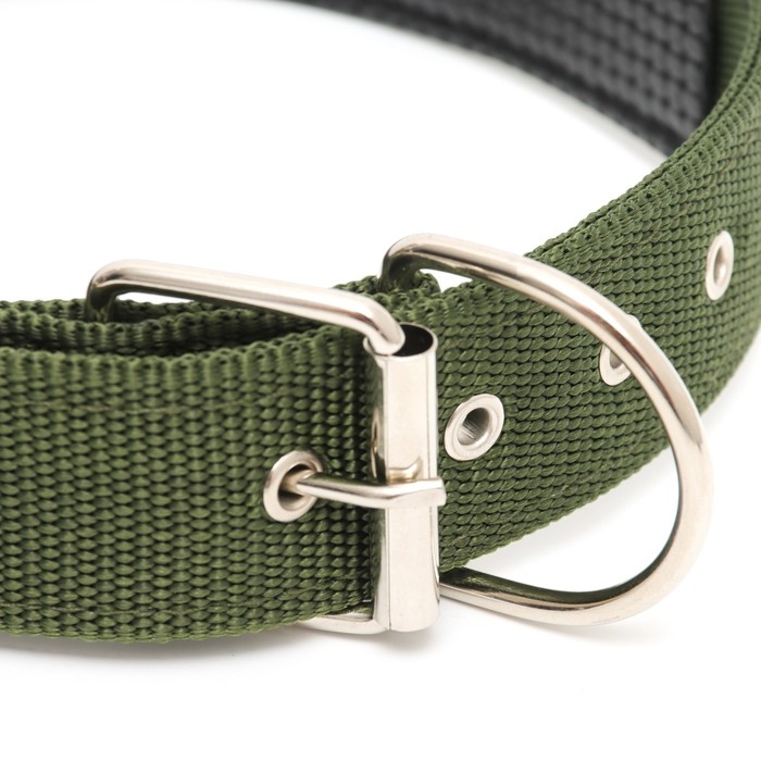 Ошейник  Ошейник "Комфорт" комбинированный (полиэстер, искус. кожа), 70 х 4 см, ОШ 48-58 см, тёмно-зел