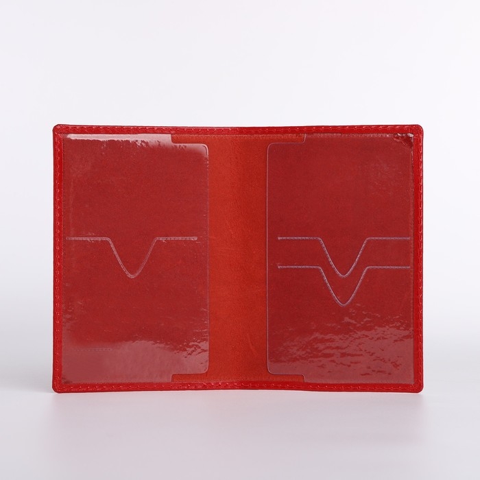 Обложка для паспорта, цвет красный