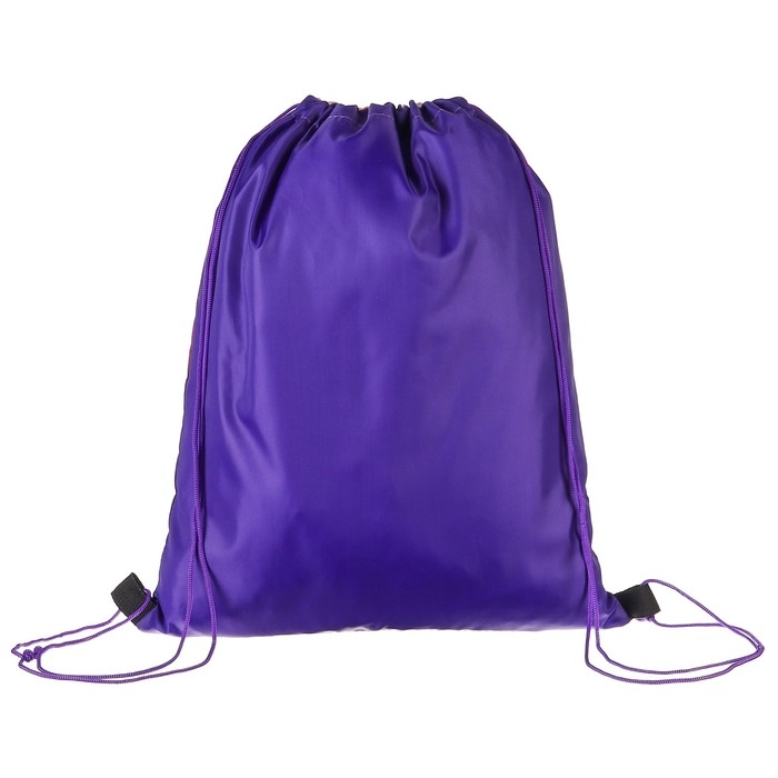 Мешок для обуви 420*330 мм, Щенячий патруль Мешок для обуви 420*330 мм, Щенячий патруль "Скай"