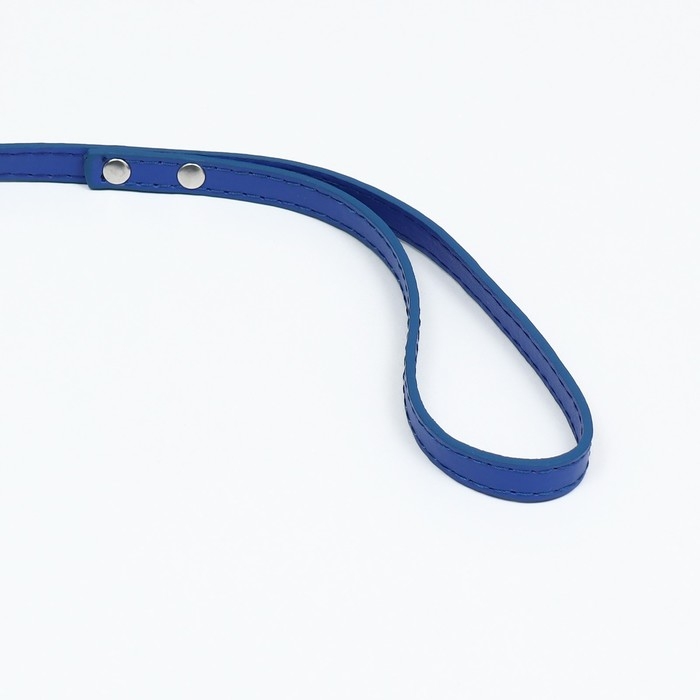 Поводок  Поводок "Основа" 120 х 1 см, синий