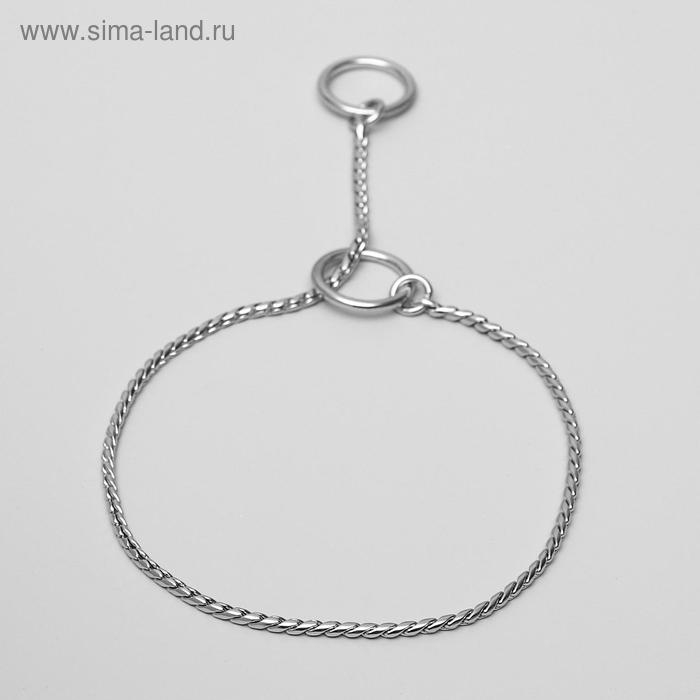 Ошейник - удавка Ошейник - удавка "Кобра", 40 см, толщина цепочки 3 мм, серебристый