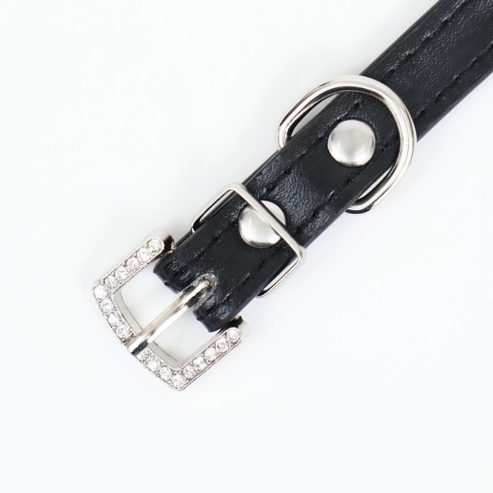 Ошейник со стразами в 4 ряда и стразы на пряжке, 38 х 1,5 см, ОШ 26-33, чёрный Ошейник со стразами в 4 ряда и стразы на пряжке, 38 х 1,5 см, ОШ 26-33, чёрный
