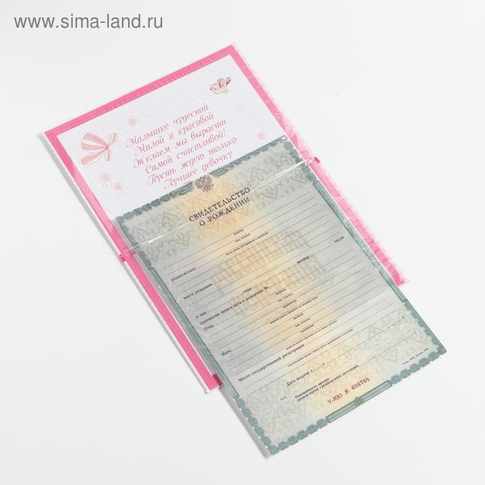 Папка для свидетельства о рождении малышки «Зайка», А5 Папка для свидетельства о рождении малышки «Зайка», А5