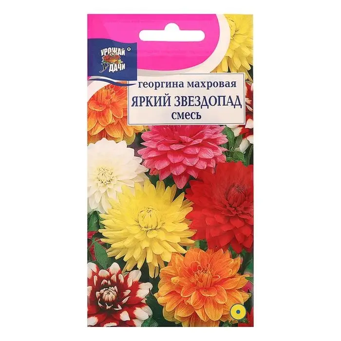 Семена цветов Цв Георгина Смесь  Семена цветов Цв Георгина Смесь "ЯРКИЙ ЗВЕЗДОПАД"  Махровая,0,2 гр
