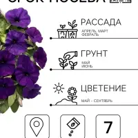 Семена цветов Петуния &laquo;Ламбада синяя&raquo;, многоцветковая, F1, 7 шт., HemGenetics, &laquo;АЭЛИТА&raquo;