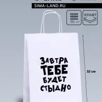 Пакет подарочный «Завтра тебе будет стыдно», 24×10.5×32 см, 1 шт.