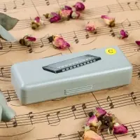 Губная гармошка Music Life T10-1 C BLACK диатоническая, 10 отверстий, с футляром