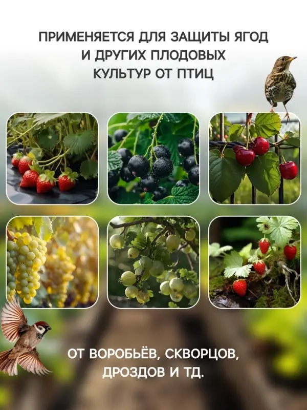 Сетка садовая, 2&times;10 м, ячейка ромб 6&times;6 мм, от птиц, пластиковая, зелёная, Greengo