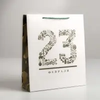 Пакет подарочный ламинированный, упаковка, &laquo;23 февраля&raquo;, M 26&times;30&times;9 см