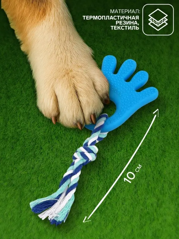 Игрушка жевательная с канатом для собак &laquo;Ладошка&raquo;, 10 см, голубая