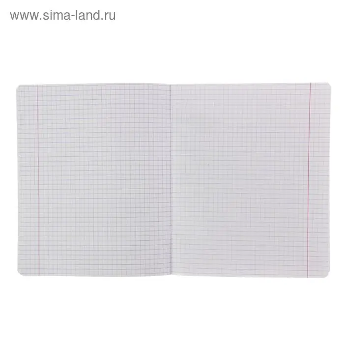 Тетрадь 18 листoв клетка «Великолепная пятёрка», бумажная обложка, МИКС Тетрадь 18 листoв клетка «Великолепная пятёрка», бумажная обложка, МИКС