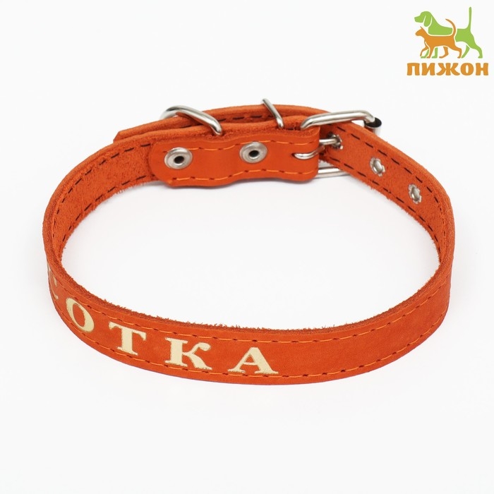 Ошейник кожаный однослойный, тиснёный «Красотка», 48 х 2 см, ОШ 32-43 см, микс цветов Ошейник кожаный однослойный, тиснёный «Красотка», 48 х 2 см, ОШ 32-43 см, микс цветов