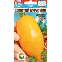 Семена Томат &laquo;Золотой Буратино&raquo;, 20 шт., &laquo;Сибирский сад&raquo;