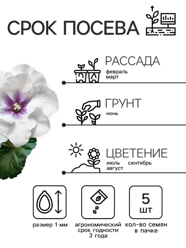 Семена комнатных цветов Глоксиния Аванти &laquo;Светло-фиолетовая&raquo;, F1, &laquo;Гавриш&raquo;, 4 шт.