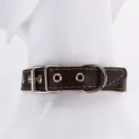 Ошейник однослойный "Красавчик", 2.5 см, тиснение фольгой, микс цветов Ошейник однослойный "Красавчик", 2.5 см, тиснение фольгой, микс цветов