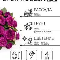 Семена цветов Бальзамин Уоллера &laquo;Искушение светло-пурпурное&raquo; F1, однолетник, 4 шт., &laquo;Гавриш&raquo;