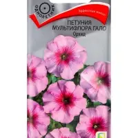 Семена цветов Петуния мультифлора Гало Орхид, 10шт