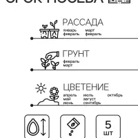 Семена комнатных цветов Глоксиния &laquo;Брокада Красная&raquo;, F1, 5 шт., многолетник, &laquo;Семена Алтая&raquo;