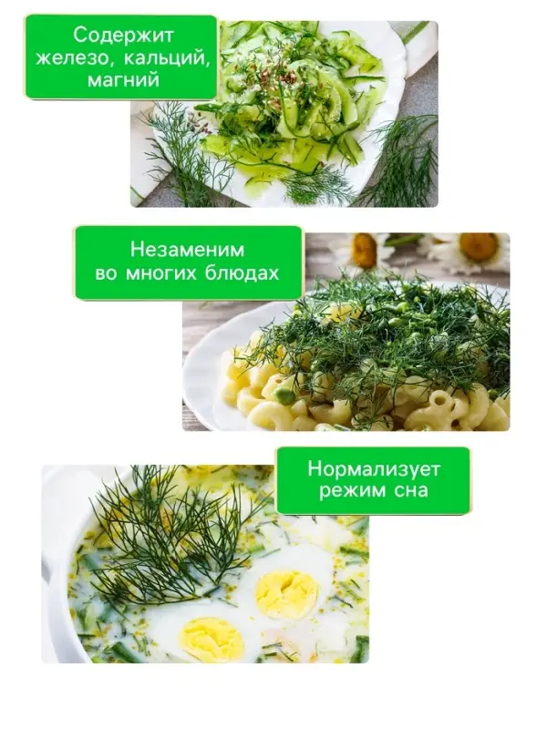 Семена Укроп "Крокодил", 2 г