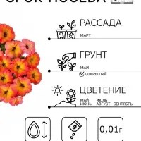 Семена цветов Петуния &laquo;Зора&raquo;, F1, 0.01 г, &laquo;Урожай Удачи&raquo;