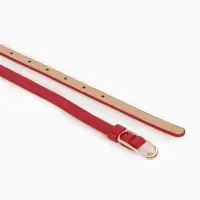 Ремень жен 02-01-01-01, Июнь2515 1,5*0,3*110 см, без винта, пряж золото, 1 прокол, красный 1090317 Ремень жен 02-01-01-01, Июнь2515 1,5*0,3*110 см, без винта, пряж золото, 1 прокол, красный 1090317