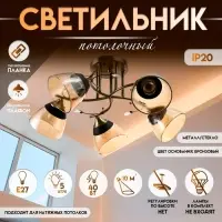 Светильник потолочный BayerLux &laquo;Аста&raquo;, 5хЕ27, 40 Вт, бронза, 65&times;65&times;26 см