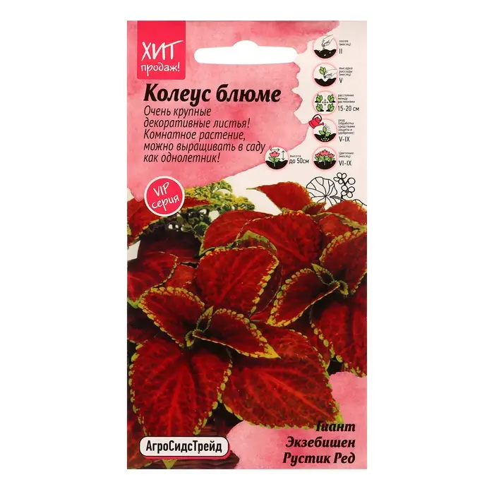 Семена цветов Колеус блюме  Семена цветов Колеус блюме "Гиант Экзебишен Рустик Ред", 10 шт