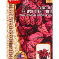 Семена цветов Гипоэстес Сплэш Селект Красный (Splash Select Red) (PanAmerican Seed) 4 шт.  12.29 г.