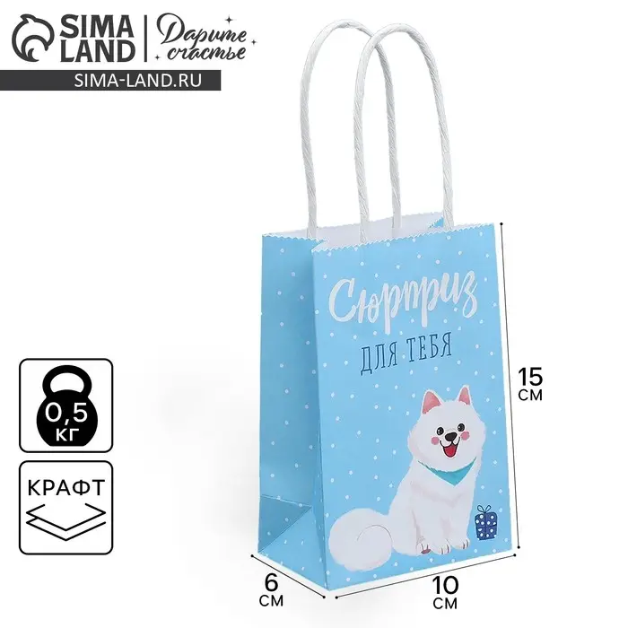 Пакет подарочный крафтовый, упаковка, «Сюрприз для тебя», 15 х 10 х 6 см Пакет подарочный крафтовый, упаковка, «Сюрприз для тебя», 15 х 10 х 6 см