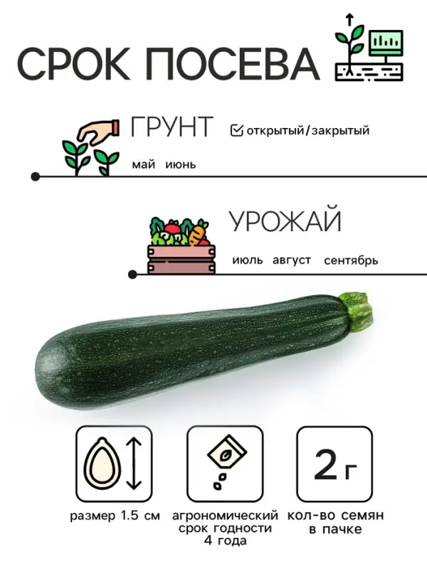 Семена Кабачок цукини  Семена Кабачок цукини "Цукеша", 2 г