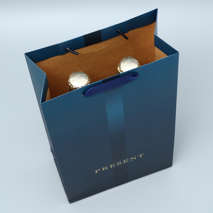 Пакет подарочный под две бутылки, упаковка, «Present», 35 х 20 х 9 см Пакет подарочный под две бутылки, упаковка, «Present», 35 х 20 х 9 см