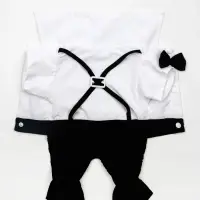 Костюм для животных "Джентельмен", размер  L (ДС 35, ОГ 45 см)