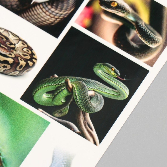 Новогодня татуировка на тело Новогодня татуировка на тело "Змеи" 10х15 см