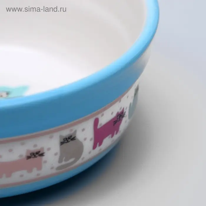 Миска &laquo;Кошачья жизнь&raquo;, 300 мл, 12.7&times;5 см, керамика, голубая