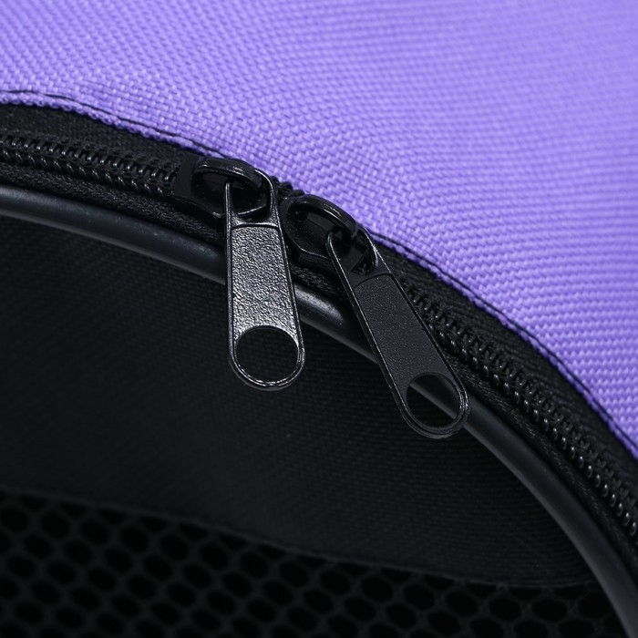 Сумка - переноска для животных, размер S, 39 х 23 х 27 см фиолетовый Сумка - переноска для животных, размер S, 39 х 23 х 27 см фиолетовый