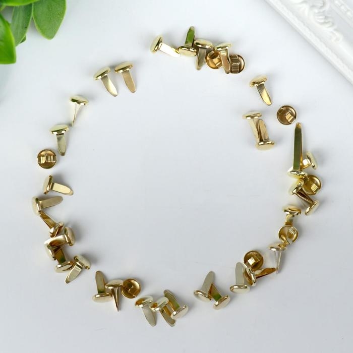 Брадсы для творчества металл  Брадсы для творчества металл "Золотые" набор 40 шт 1 см 15,5х8,8х2 см