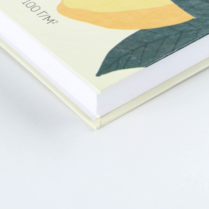 Скетчбук на гребне Скетчбук на гребне "Не стесняйся мечтать" А5 80 л 100 гр/м