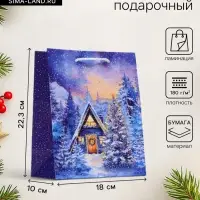 Пакет подарочный новогодний &laquo;Зимний дом&raquo;, 18&times;22.3&times;10 см